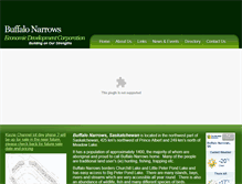 Tablet Screenshot of buffalonarrows.com